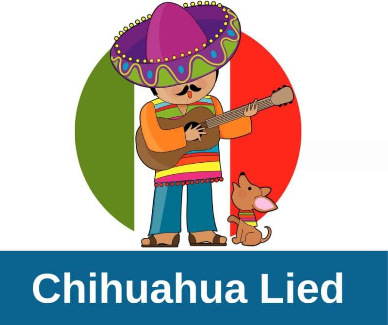 Chihuahua Lied