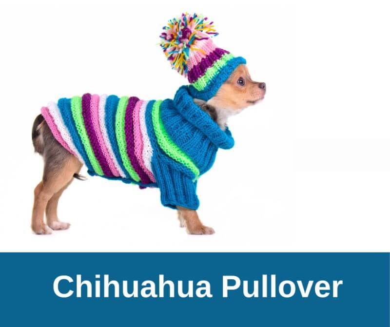 Pattern Print Chihuahua Women Men Pullover Hoodie