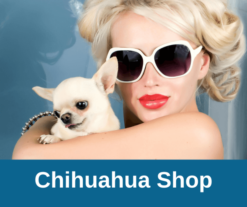 Chihuahua Shop