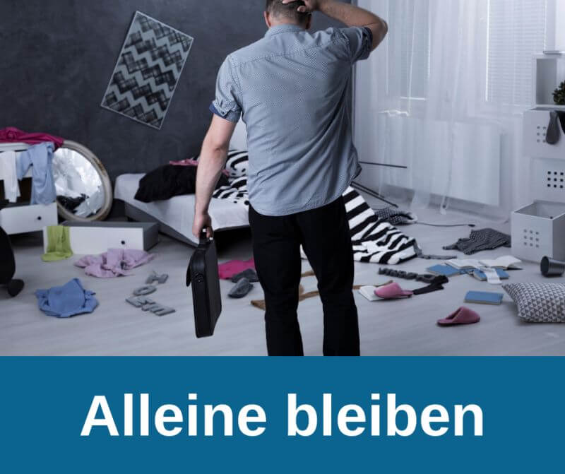 Chihuahua Trennungsangst