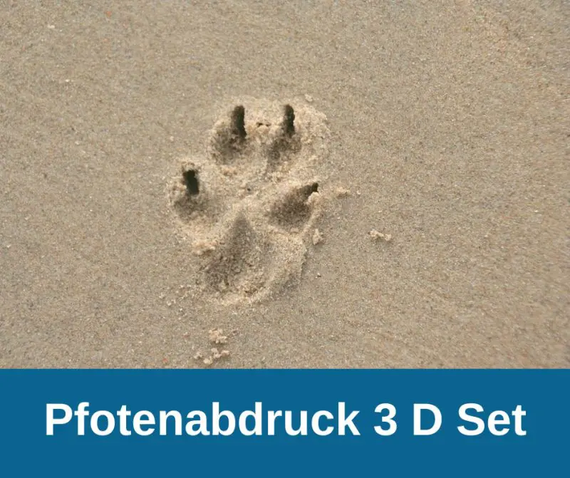 Pfotenabdruck 3 D Set